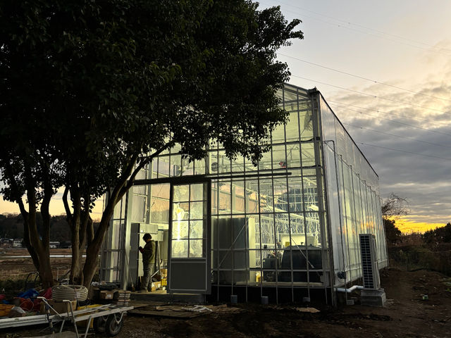 ���q�R��t�_�� �Ó쓡�򂢂����n�E�X