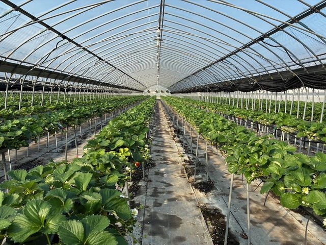 ̍LnEXقڑݐ؁I_ʂ_炵 Oؒ