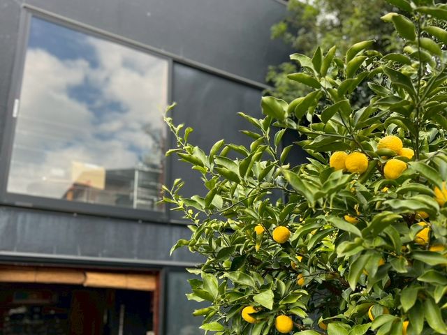 T-BASE ARTS&CRAFTS ���|����