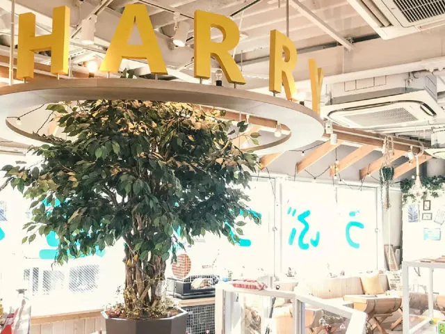 HARRY 原宿テラス店