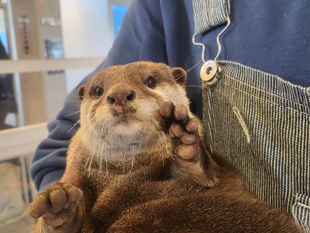 �F�l�̂����X��S��肨�҂��\���グ�Ă���܂���_�J���E�\�J�t�F HARRY���h�e���X�X