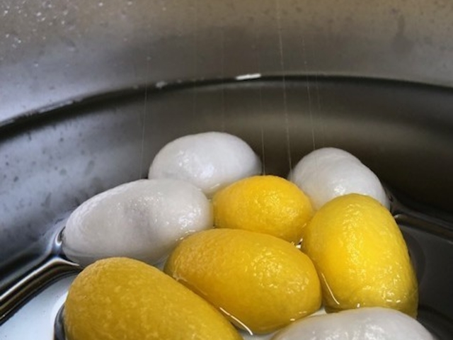 �y�����v�V�F�[�h�v�����z
�����Ȕ��ƁA�����l�F�B����������킹��u�~�b�N�X�v���I�ׂ܂��B_�O�����Â���̌��Z���^�[�E�����R����