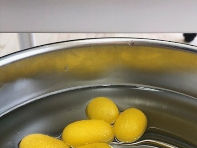 �V�R�́u�����l�F�v��u�����v�̖�����A�{�i�I�ȍ��J���Ŏ������銴���̌��B_�O�����Â���̌��Z���^�[�E�����R����