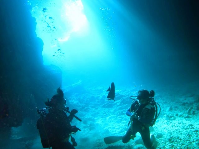 Vm[POVbv|{j[u[yBonnie Bluez̎ʐ^1