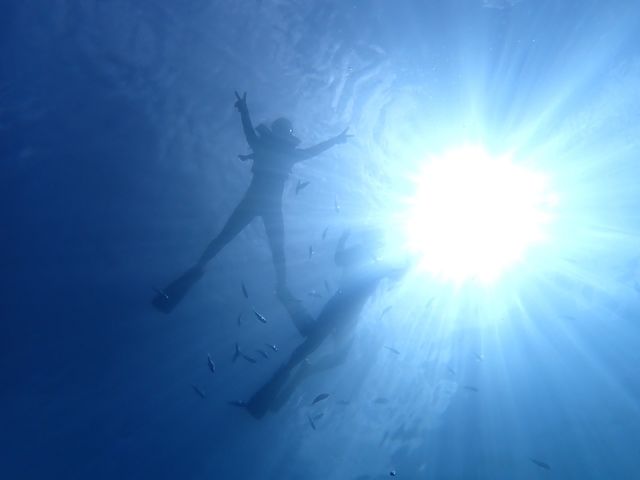 �V���m�[�P��_����V���m�[�P�����O�V���b�v|�{�j�[�u���[�yBonnie Blue�z