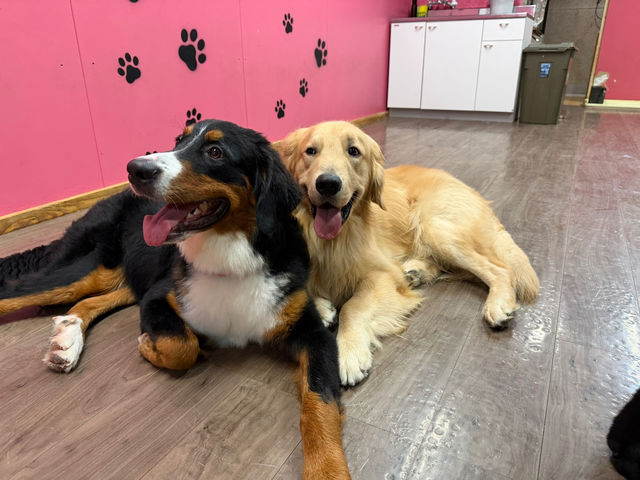 ^ӂꂠJtFMiliMili̎ʐ^1