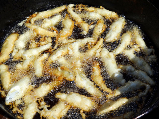 �k�C���킩�������X �L���b�`&�t���C