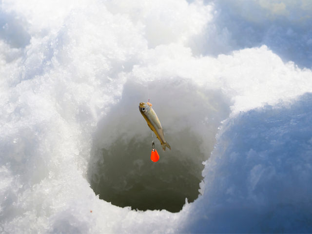 �k�C���킩�������X �L���b�`&�t���C