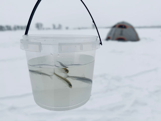 �k�C���킩�������X �L���b�`&�t���C