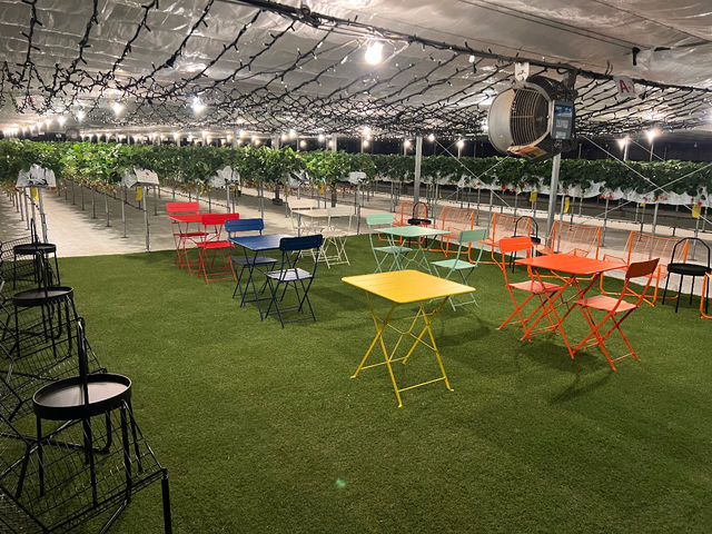 �C�[�g�C���X�y�[�X������܂���_strawberry lab~farmlab ikaho factory~