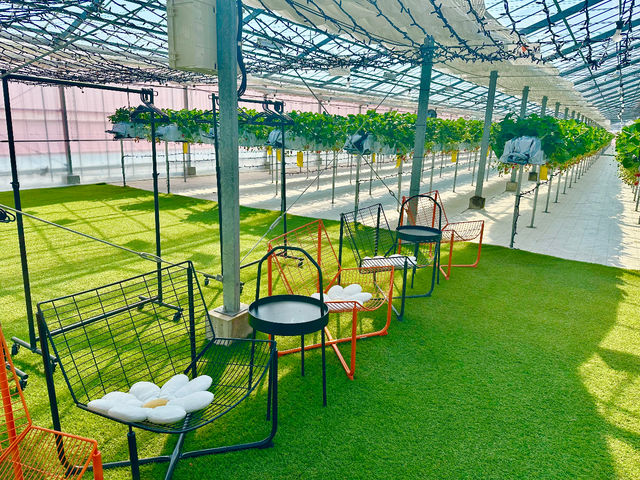 �x�e�X�y�[�X_strawberry lab~farmlab ikaho factory~