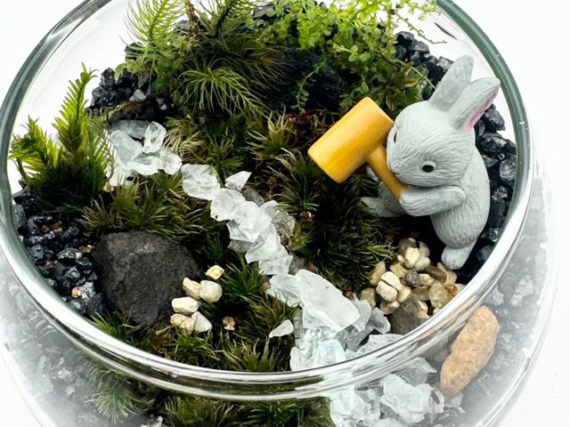 ���킢���t�B�M�A���p�ӂ��Ă��܂�_olmo+