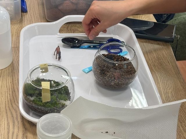 ���{���݂Ȃ����Ɖ\_olmo+