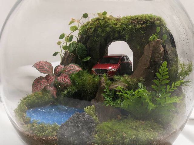 �f�U�C�����k���\_olmo+