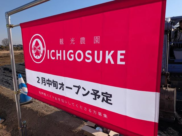ICHIGOSUKE�̎ʐ^1
