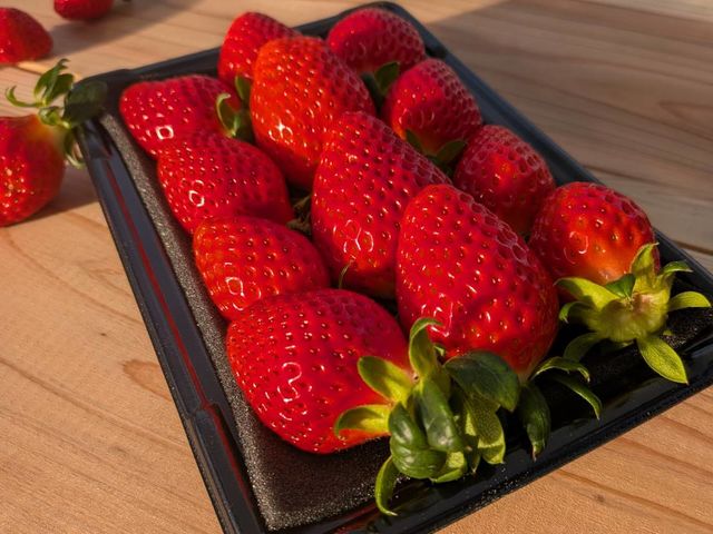 ���n���̂ꂢ�����̒������������ł��B_ICHIGOSUKE