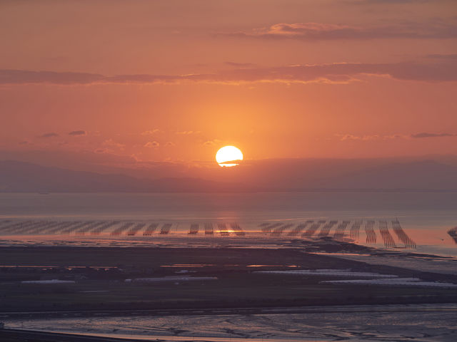 {̊̊ChLChŉɂ钬_ʎВc@l낢ό