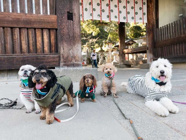 ������Вn���n��