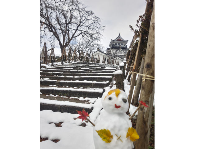 �����悱�Ă���