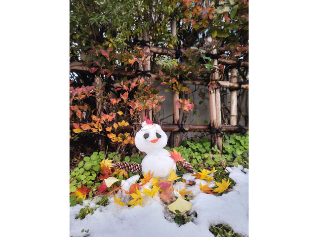 �����悱�Ă���