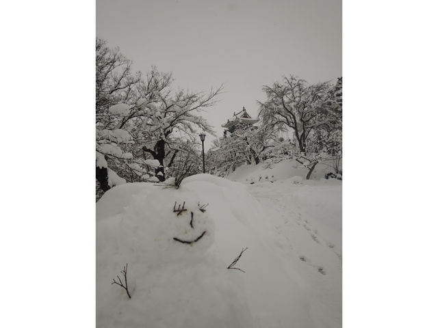 �����悱�Ă���