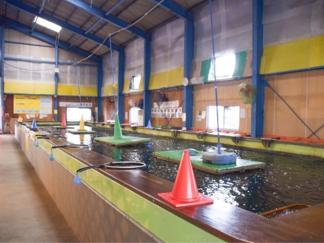 �t�B�b�V���I������̎ʐ^1