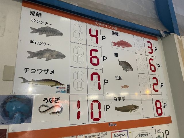 ���ɂ���ă|�C���g�Q�b�g_�t�B�b�V���I������