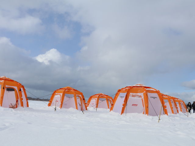 �A�[�X�A�E�g�h�A�c�A�[�Y �D�y�X�̎ʐ^1