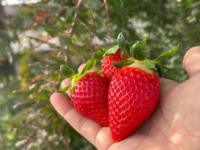 ��t�}�[�N�_��