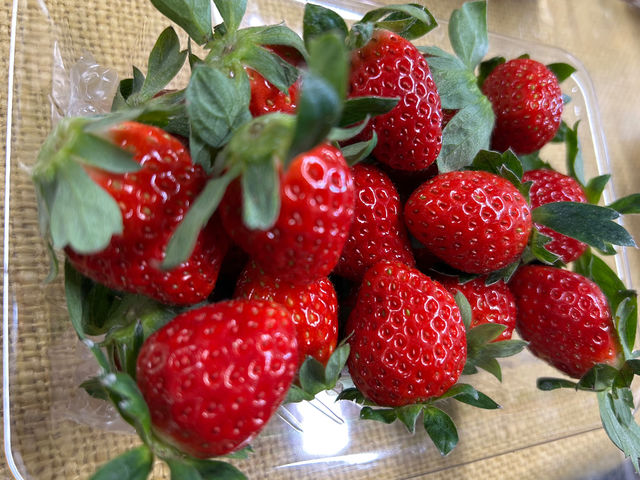 ��t�}�[�N�_��