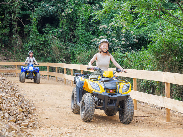 Bravo!�@���哇