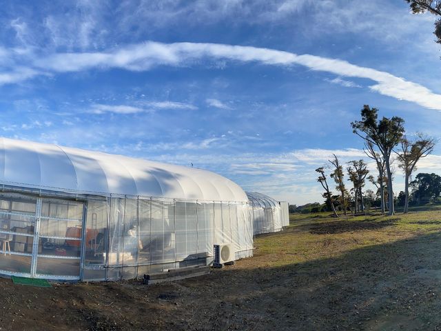 �˂����t�@�[��