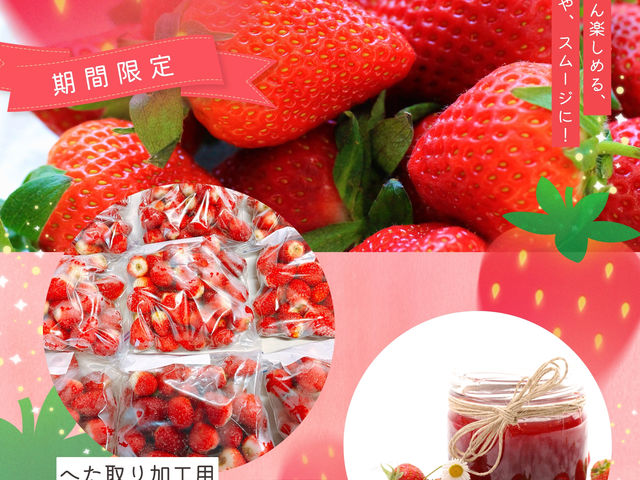 �ւ������H�p
�Ⓚ������500����700�~_�˂����t�@�[��