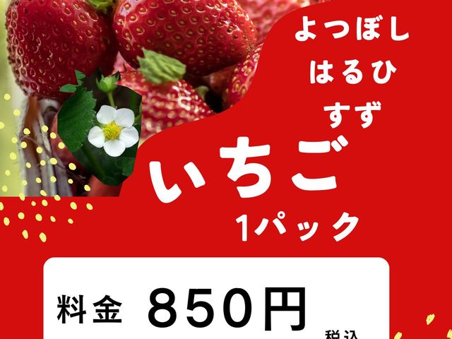 �E�݂���
�������P�p�b�N850�~_�˂����t�@�[��