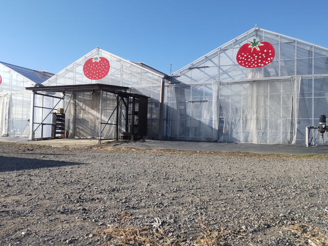 �����̘[�̂��������̎ʐ^1