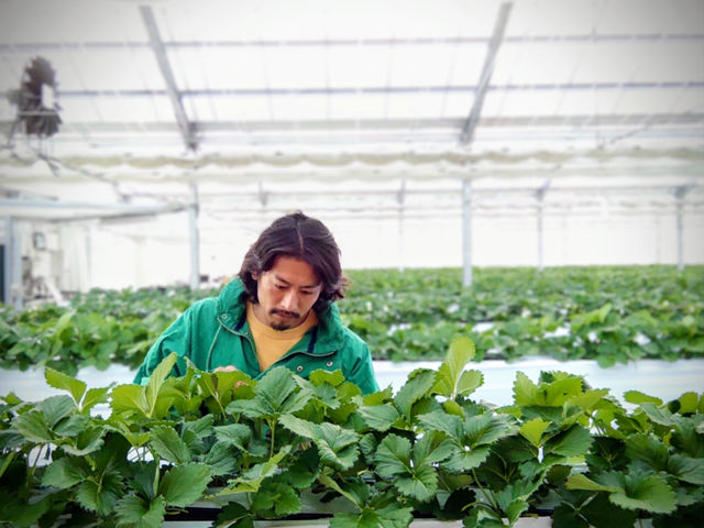 �����̘[�̂�������