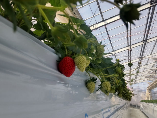 �����̘[�̂�������