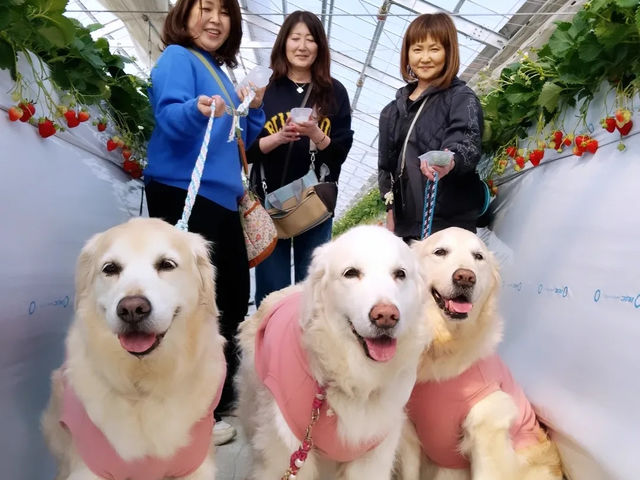 �����̘[�̂�������