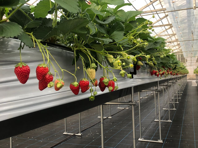 �i���̍��������������p�ӏo���܂����B_�t�� �}�`���A