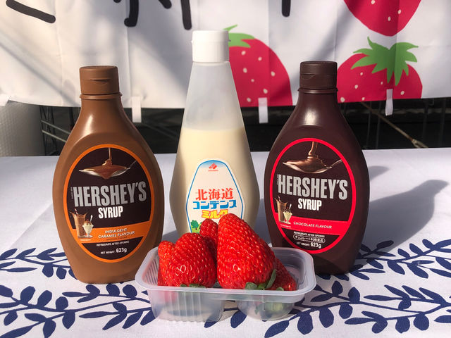 ���n�g�ق��؂�����A�`���R�A�L���������\�[�X�ł������オ�肭�������B�e�\�[�X�͂�����莩�R�ł��B_�t�� �}�`���A