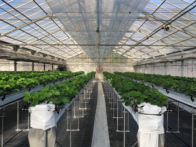 �t�� �}�`���A