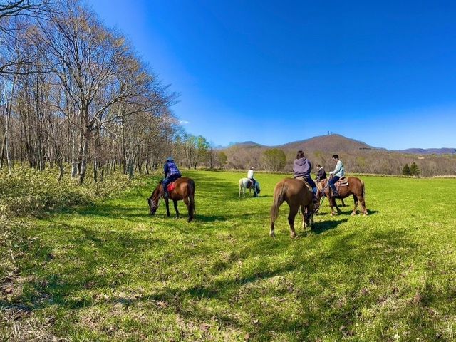 �k���{��n�T�[�r�X�o���_�i�̎ʐ^1