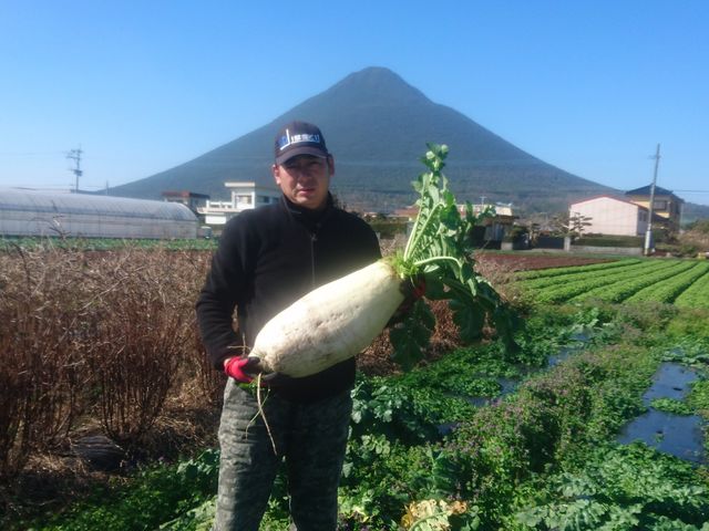 ���[�t�@�[���������