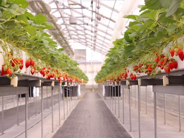 �_�˔_�� �n������