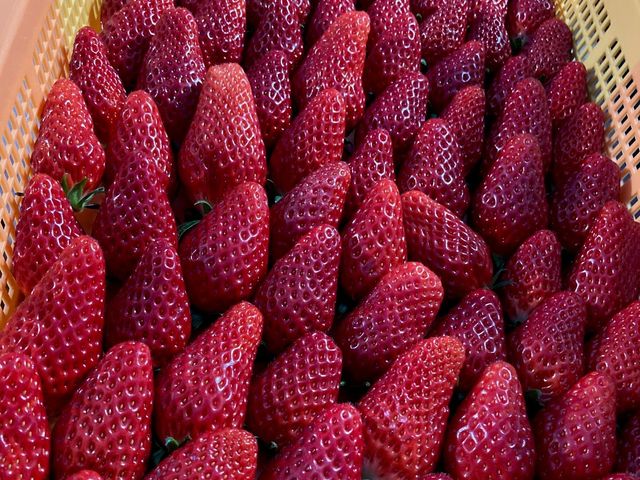 �_�˔_�� �n������