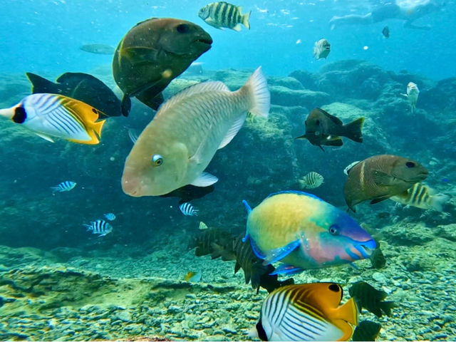 �M�ы�������ȋ߂��Ō����_Bal field