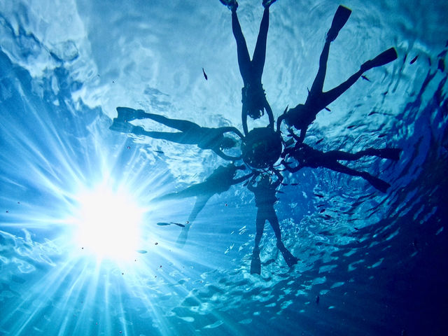 �������ތ��ŃV���G�b�g�ʐ^���f��_Bal field