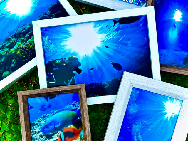 ���ꗷ�s�̗��̎v���o�ɂ��Ѝ���Ă݂Ă�_Bal field