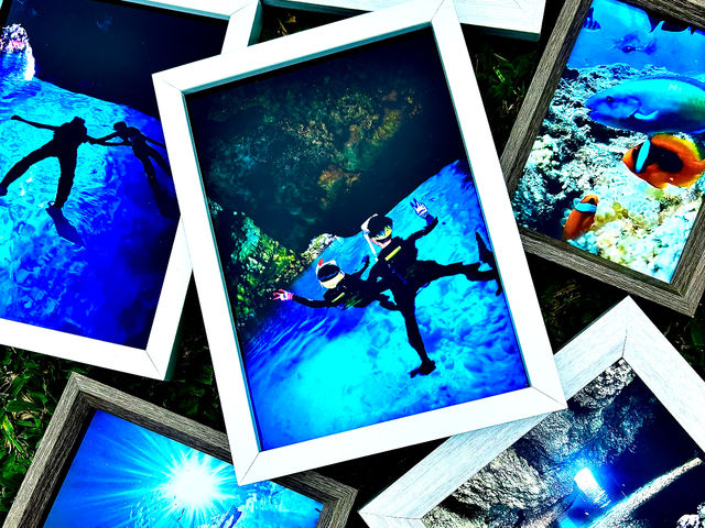 �S�ăK�C�h���B�e���Ă܂��B_Bal field