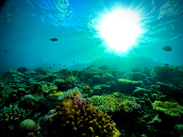 ���ɂ̓T���S�ʂ�_Bal field